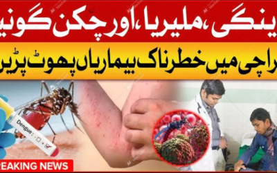 Karachi Hit by 1,724 Dengue Cases – Act Now to Stay Safe!